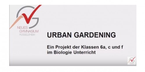 Urban Gardening am NG